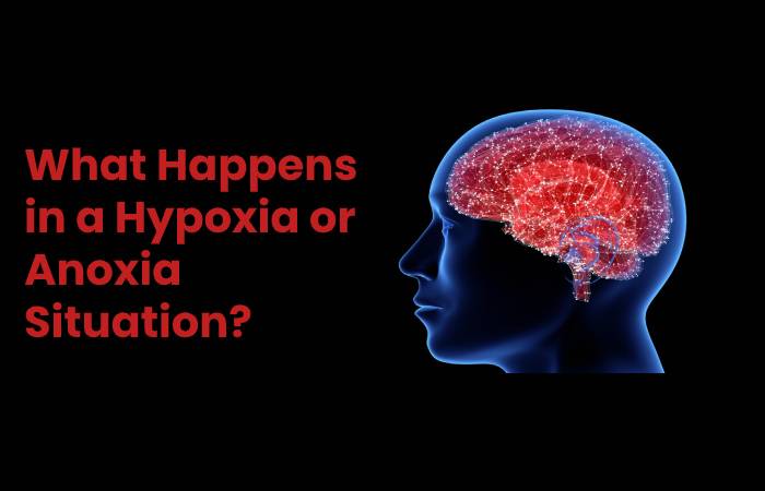 What Happens in a Hypoxia or Anoxia Situation_