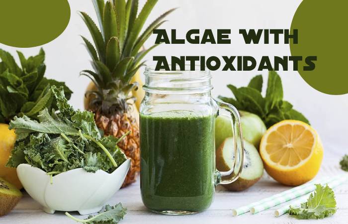 Algae With Antioxidants