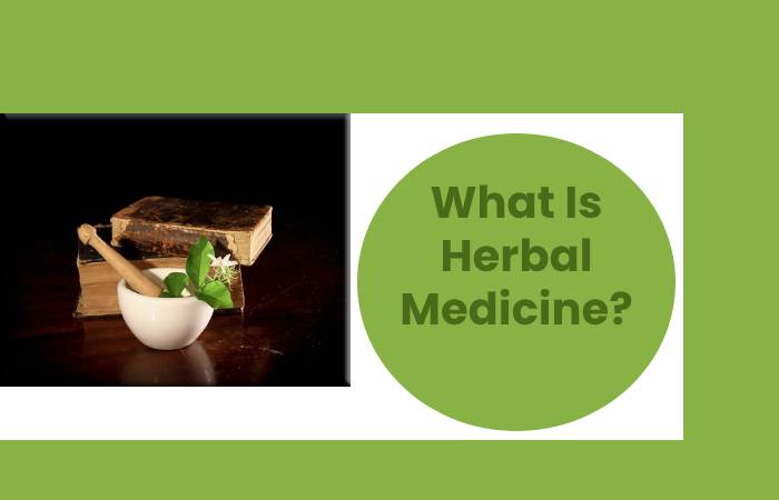 What Is Herbal Medicine?