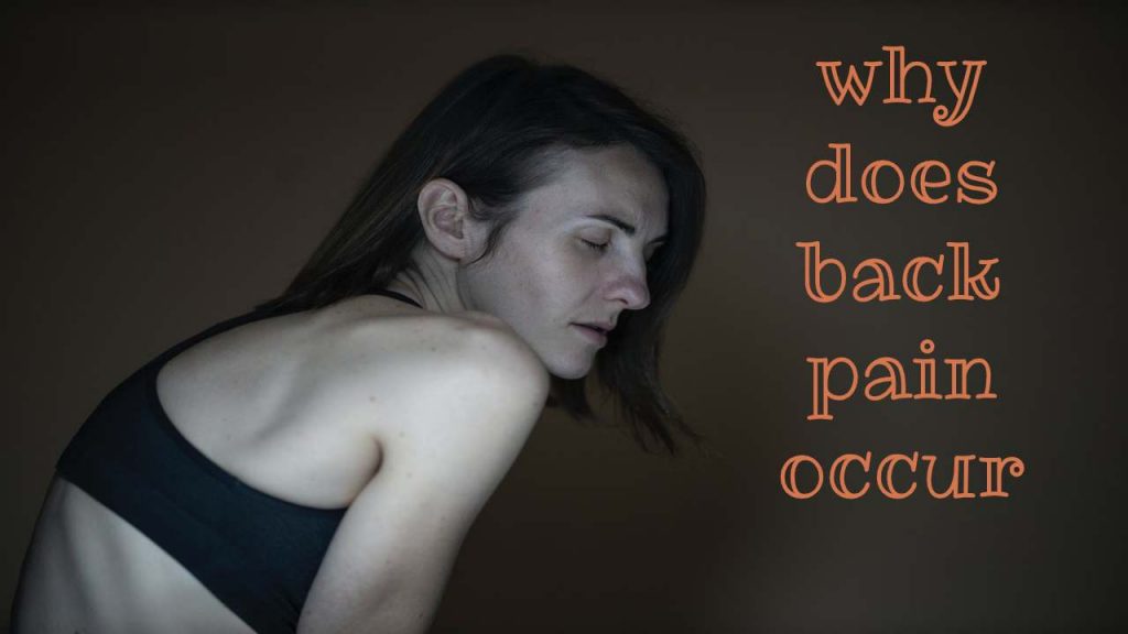 What is and why does back pain occur_