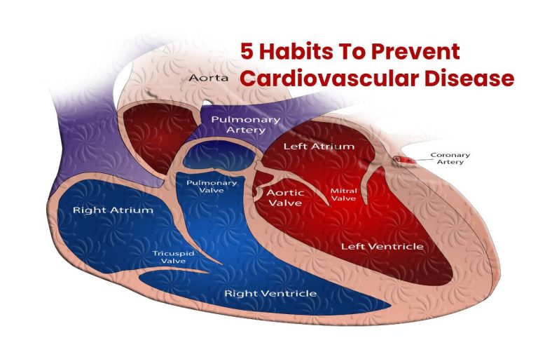 5 Habits To Prevent Cardiovascular Disease