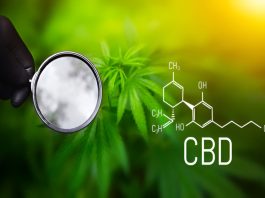 Does CBD Expire