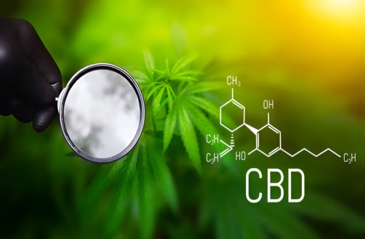 Does CBD Expire